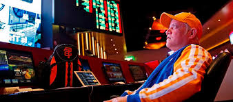 Официальный сайт Casino Pautina